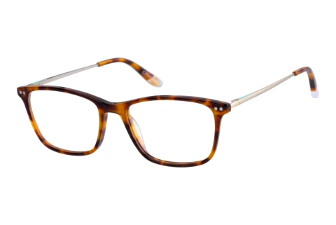 Bril O`Neill ON 963067 60